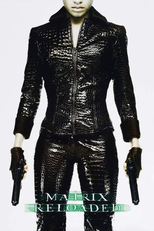 The Matrix Reloaded's poster