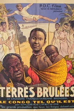 Verschroeide aarde's poster