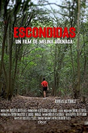 Escondidas's poster