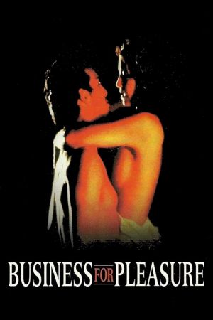 Business for Pleasure's poster