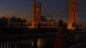 Lady Bird's poster