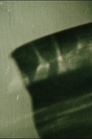 January Fragment's poster