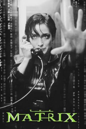 The Matrix's poster
