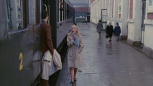 The Umbrellas of Cherbourg's poster