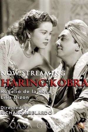 Haring Cobra's poster image