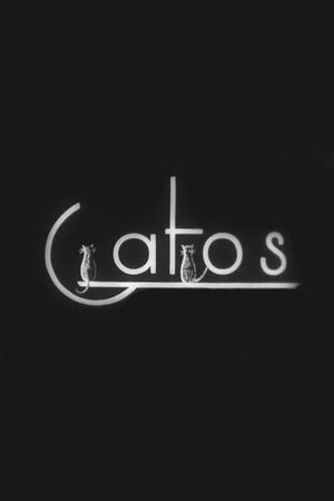 Cats's poster