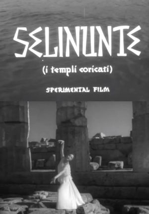 Selinunte, i templi addormentati's poster