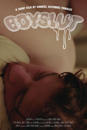 Boyslut's poster