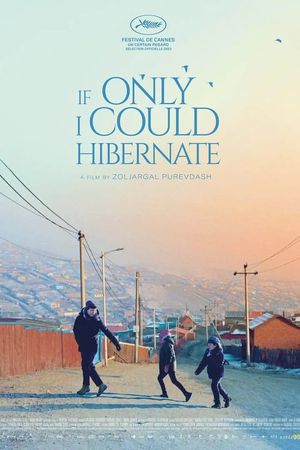 If Only I Could Hibernate's poster