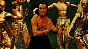 The Best of Shaolin Kung Fu's poster