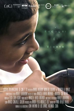 Pick up the Wind's poster
