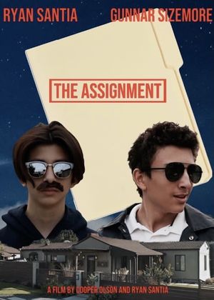 The Assignment's poster