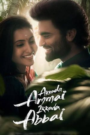 Akkada Ammai Ikkada Abbai's poster