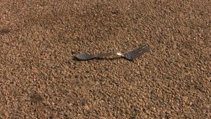A Fork in the Road's poster