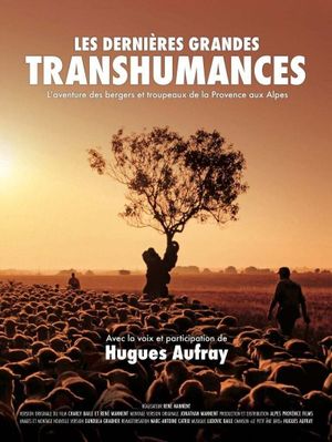 Les dernières grandes transhumances's poster