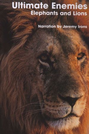 Ultimate Enemies: Elephants and Lions's poster