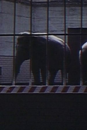 Elephants: Fragments in an Argument's poster image