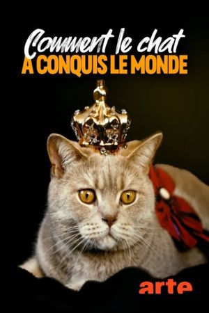 Comment le chat a conquis le monde's poster