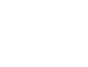 The Perfect Picture: Ten Years Later's poster