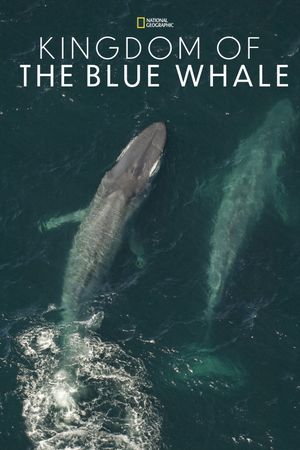 Kingdom of the Blue Whale's poster
