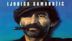 Savamala's poster