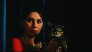 When the Cat Comes's poster
