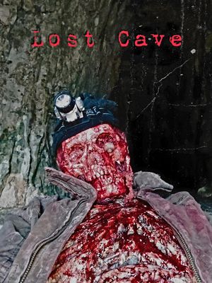 Lost Cave's poster
