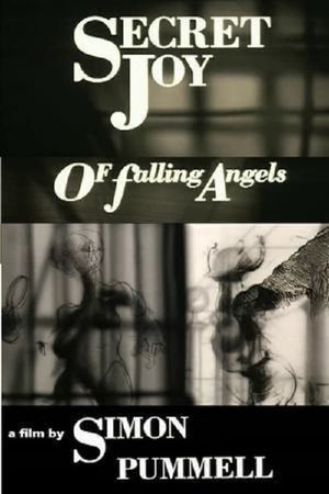 Secret Joy of Falling Angels's poster