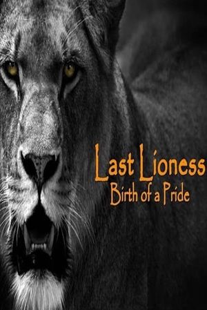 The Last Lioness: Birth of a Pride's poster