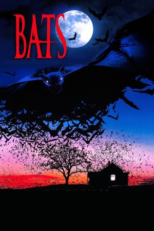 Bats's poster