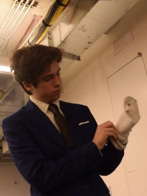 The Puppet's poster image