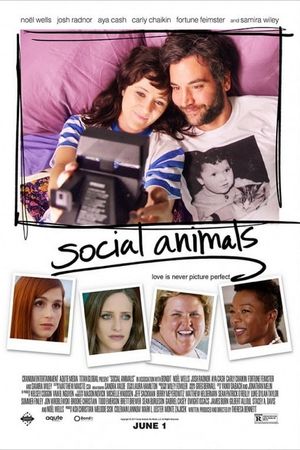 Social Animals's poster