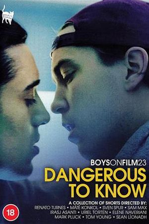 Boys on Film 23: Dangerous to Know's poster