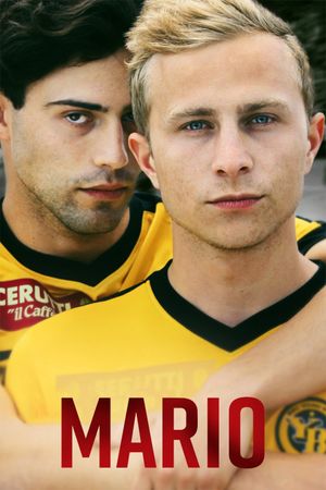 Mario's poster