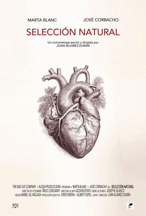 Selección natural's poster