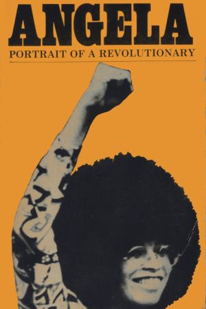 Angela Davis: Portrait of a Revolutionary's poster