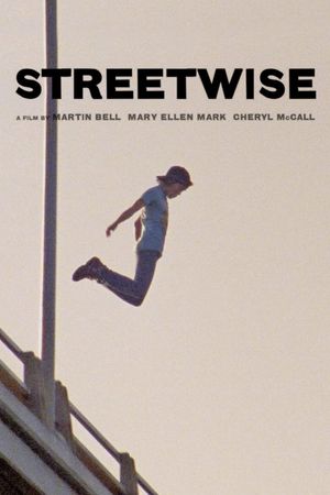 Streetwise's poster