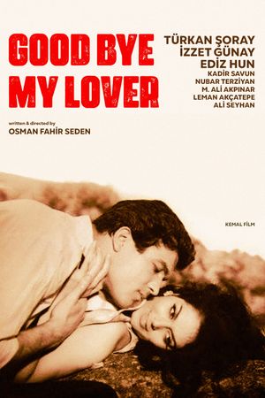 Good Bye, My Lover's poster
