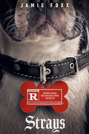 Strays's poster