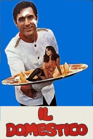 My Darling Domestic's poster