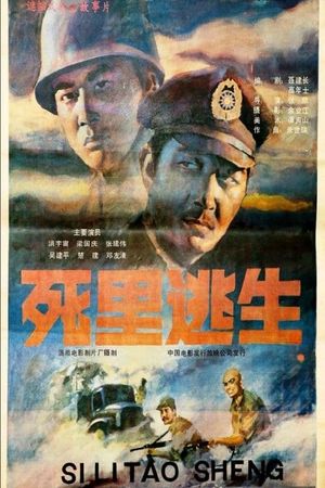 Si li tao sheng's poster image