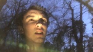 The Creature of Memorial Park's poster
