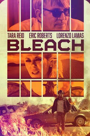 Bleach's poster