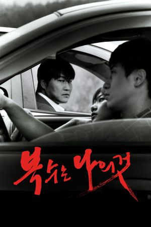 Sympathy for Mr. Vengeance's poster