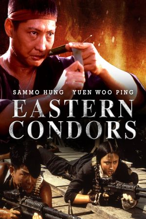 Eastern Condors's poster
