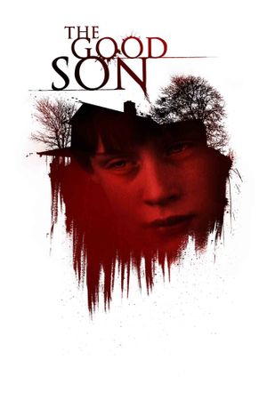 The Good Son's poster