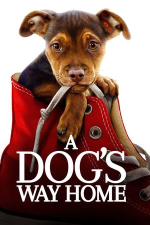 A Dog's Way Home's poster