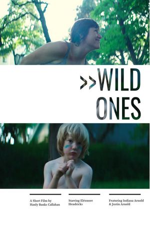 Wild Ones's poster