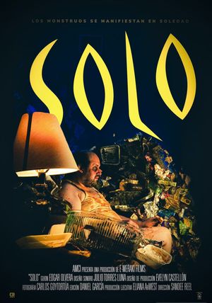 Solo's poster