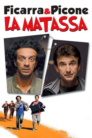 La matassa's poster image